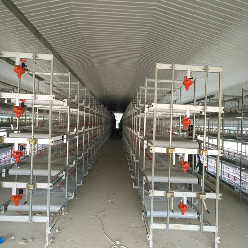 Effiziente Home Breeding Broiler Cage Equipment