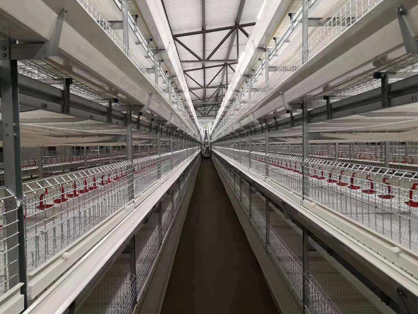 Beliebtes Broiler Cage Duck Cage System