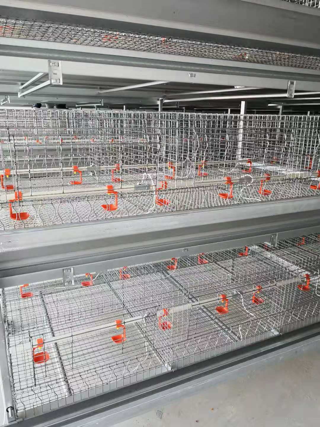 Broiler Cage Enten Cage Aufzuchtgeräte