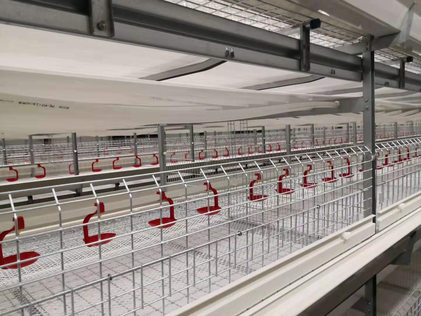 Beliebtes Broiler Cage Duck Cage System