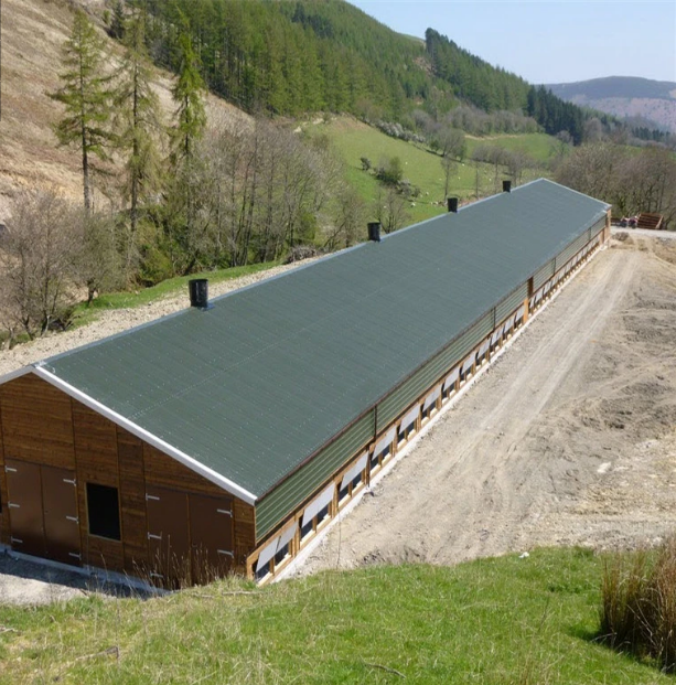 Stahl Viehstock Bauernhaus Geflügelhähnchenschuppen